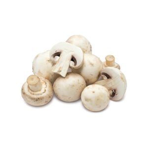 champignon