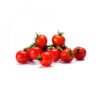 tomate-cerise